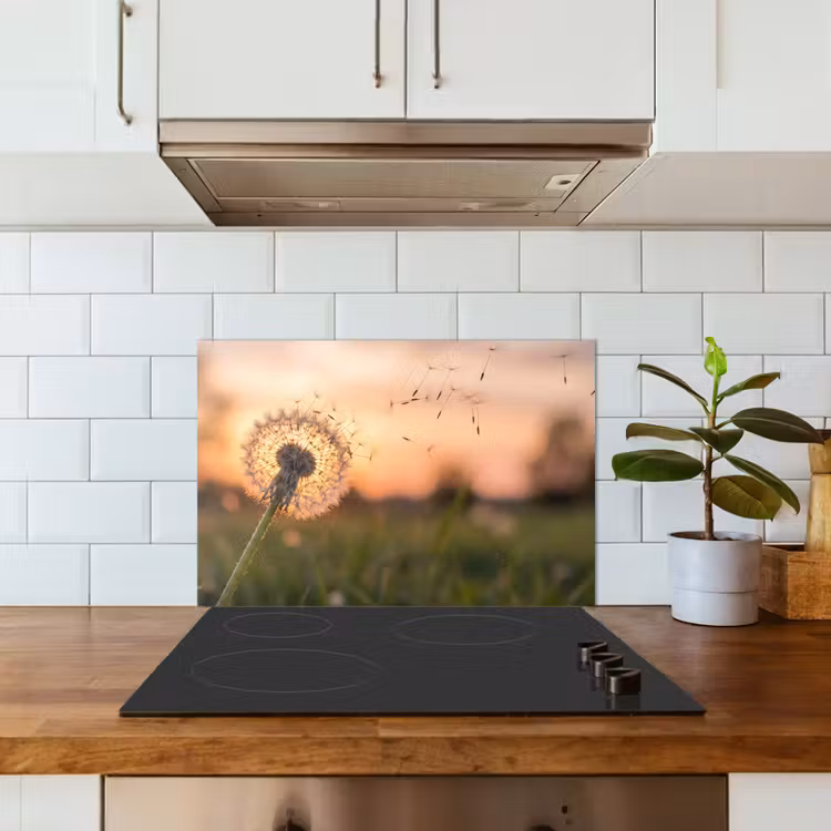 Paraschizzi cucina - Dente di leone - Tramonto - Campo — 3