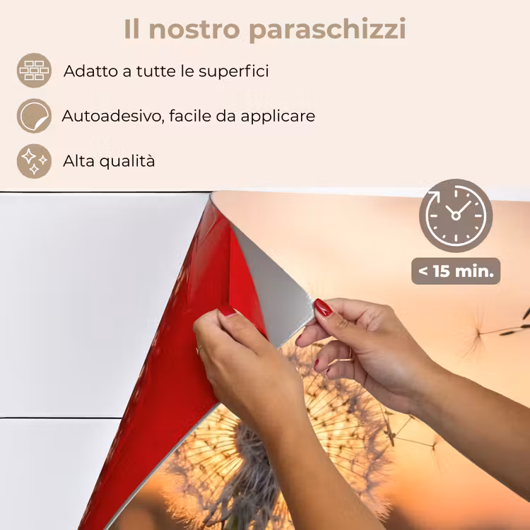 Paraschizzi cucina - Dente di leone - Tramonto - Campo — 4