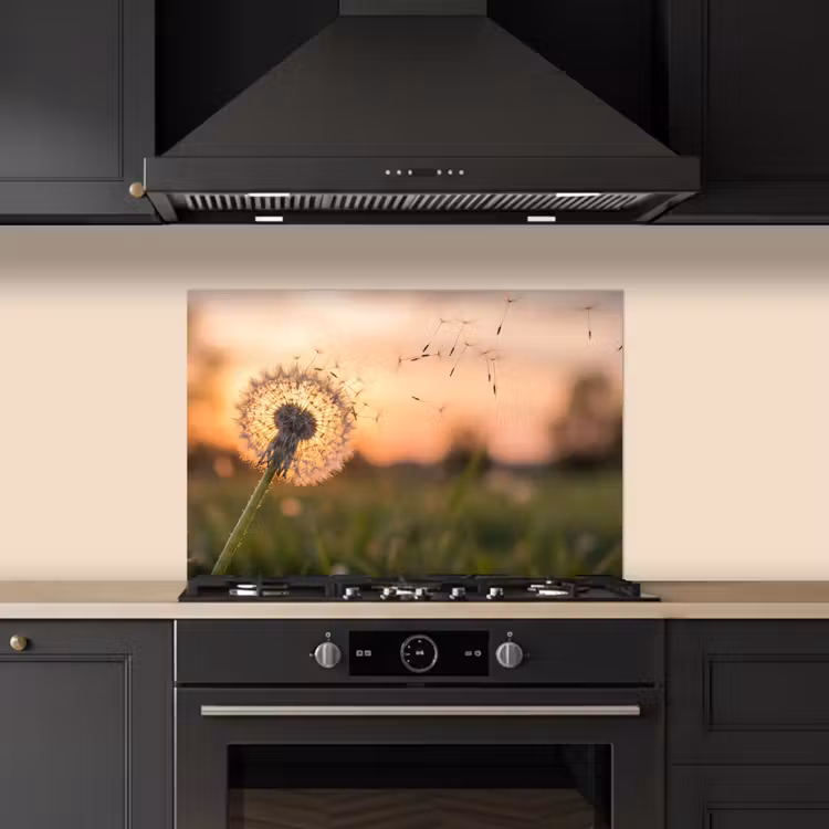 Paraschizzi cucina - Dente di leone - Tramonto - Campo — 5