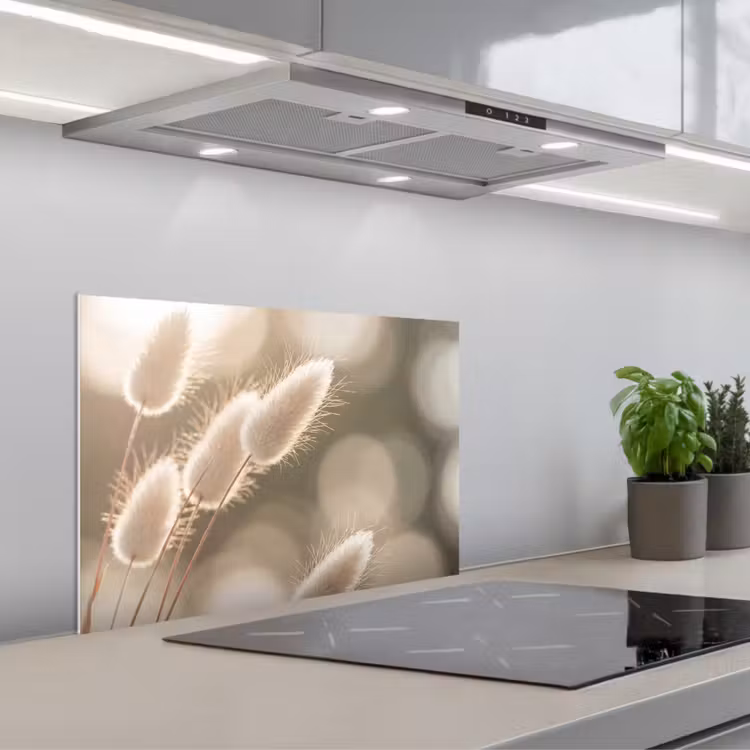 Paraschizzi cucina - Erba a coda di castoro - Bianco - Luce solare — 1