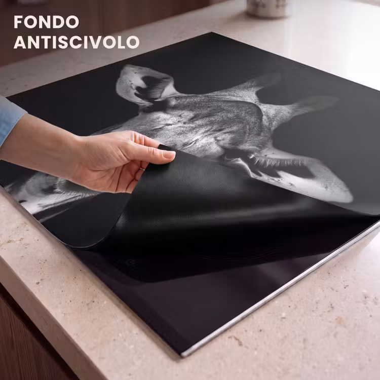 Protezione piano induzione - Ritratto di un osservatore silenzioso — 6