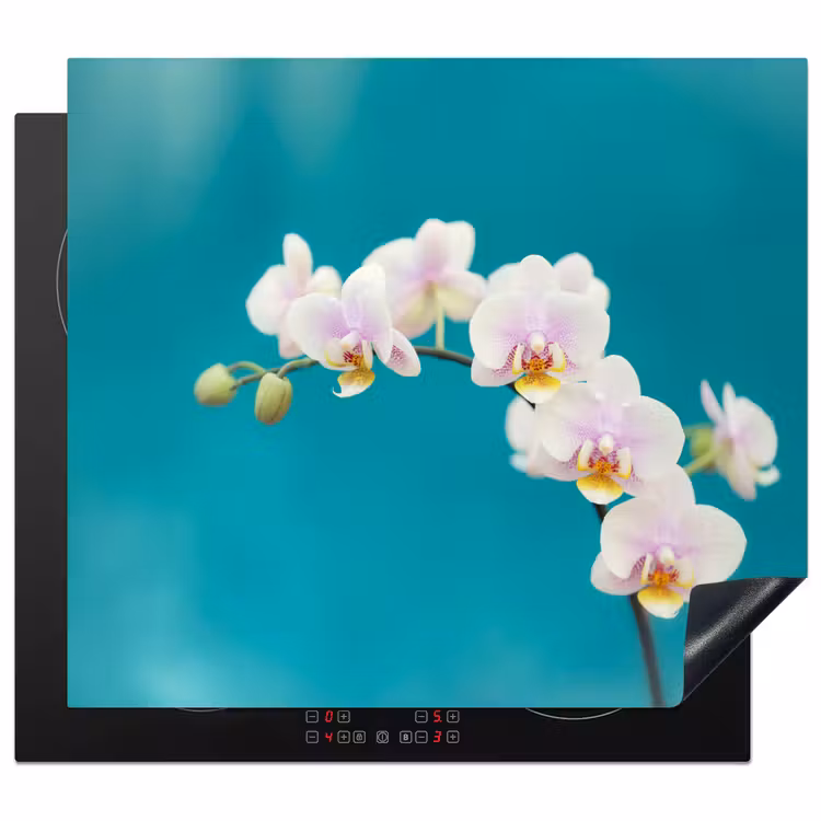Protezione piano induzione - Orchidee Aqua Bliss — 1