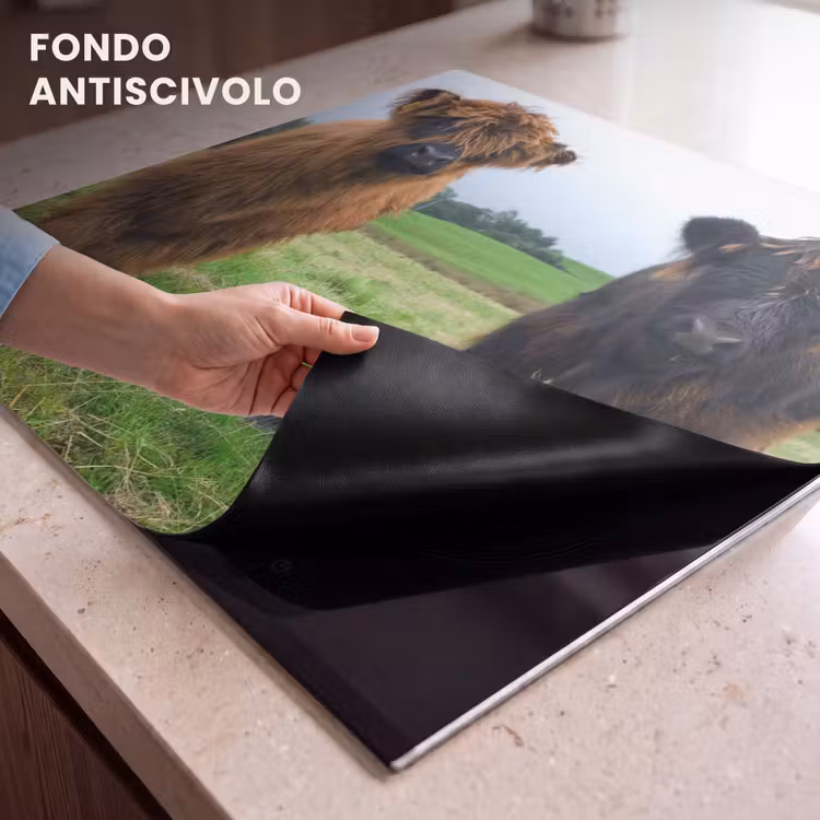 Protezione piano induzione - Duo van de Weide — 6