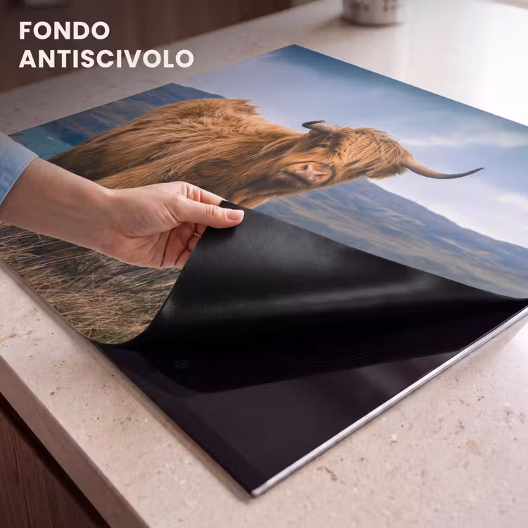 Protezione piano induzione - Highlander sulla costa — 6