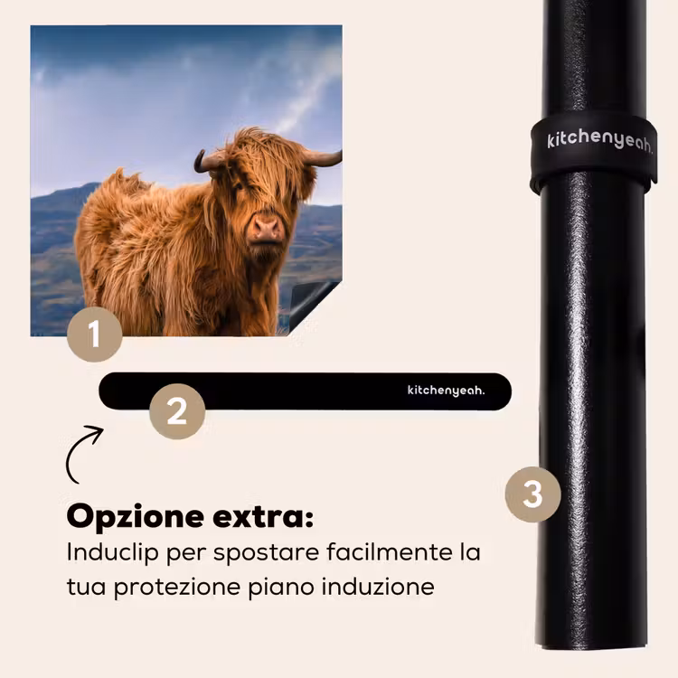 Protezione piano induzione - Highlander sulla costa — 8