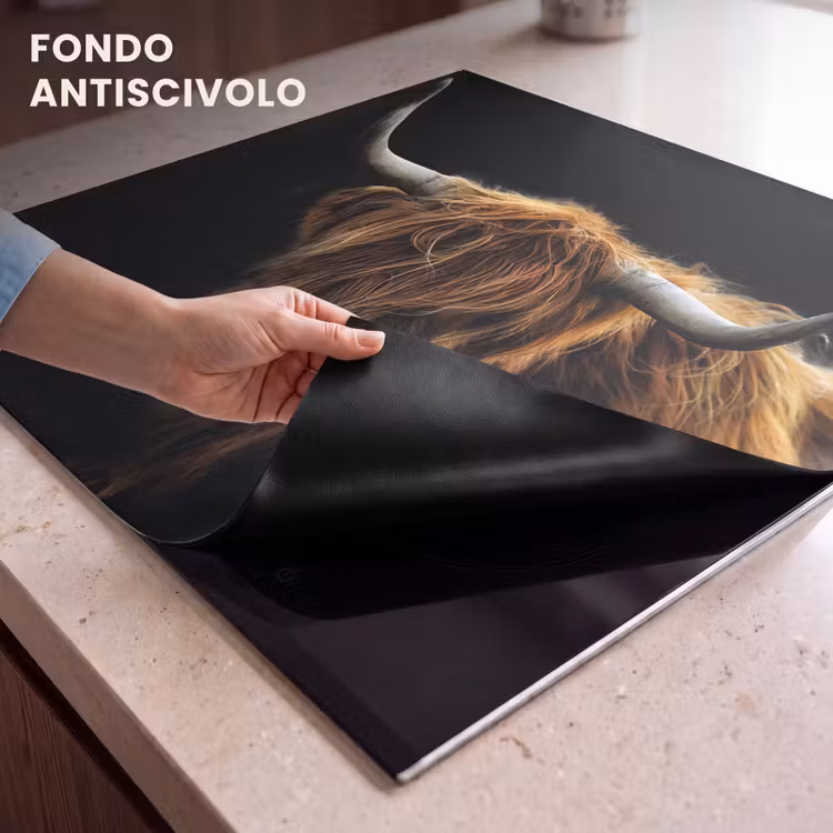 Protezione piano induzione - Ombra e luce — 6