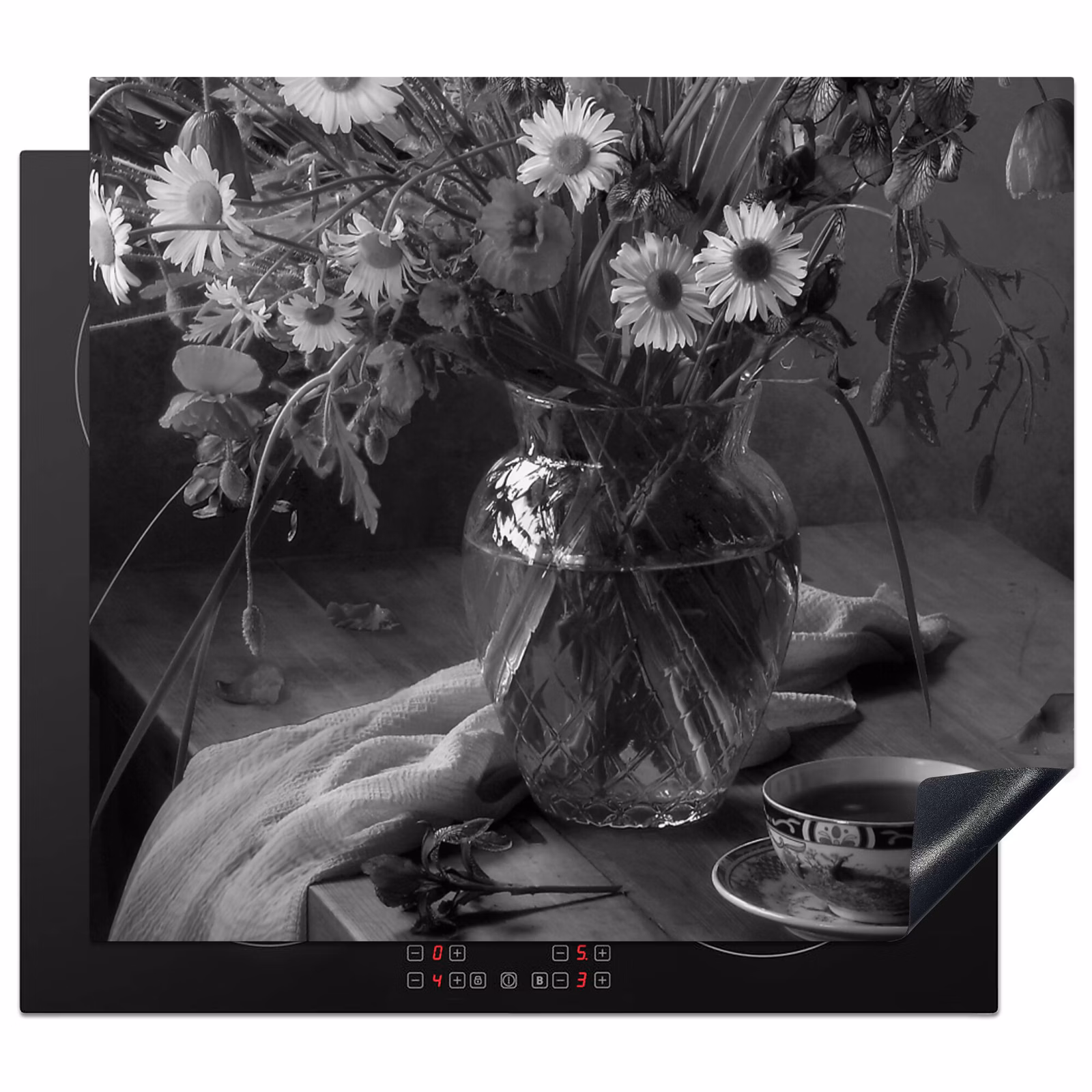 Protezione piano induzione - Momento monocromatico — 1