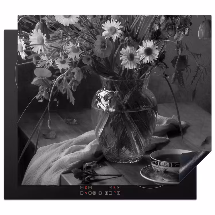 Protezione piano induzione - Momento monocromatico — 1