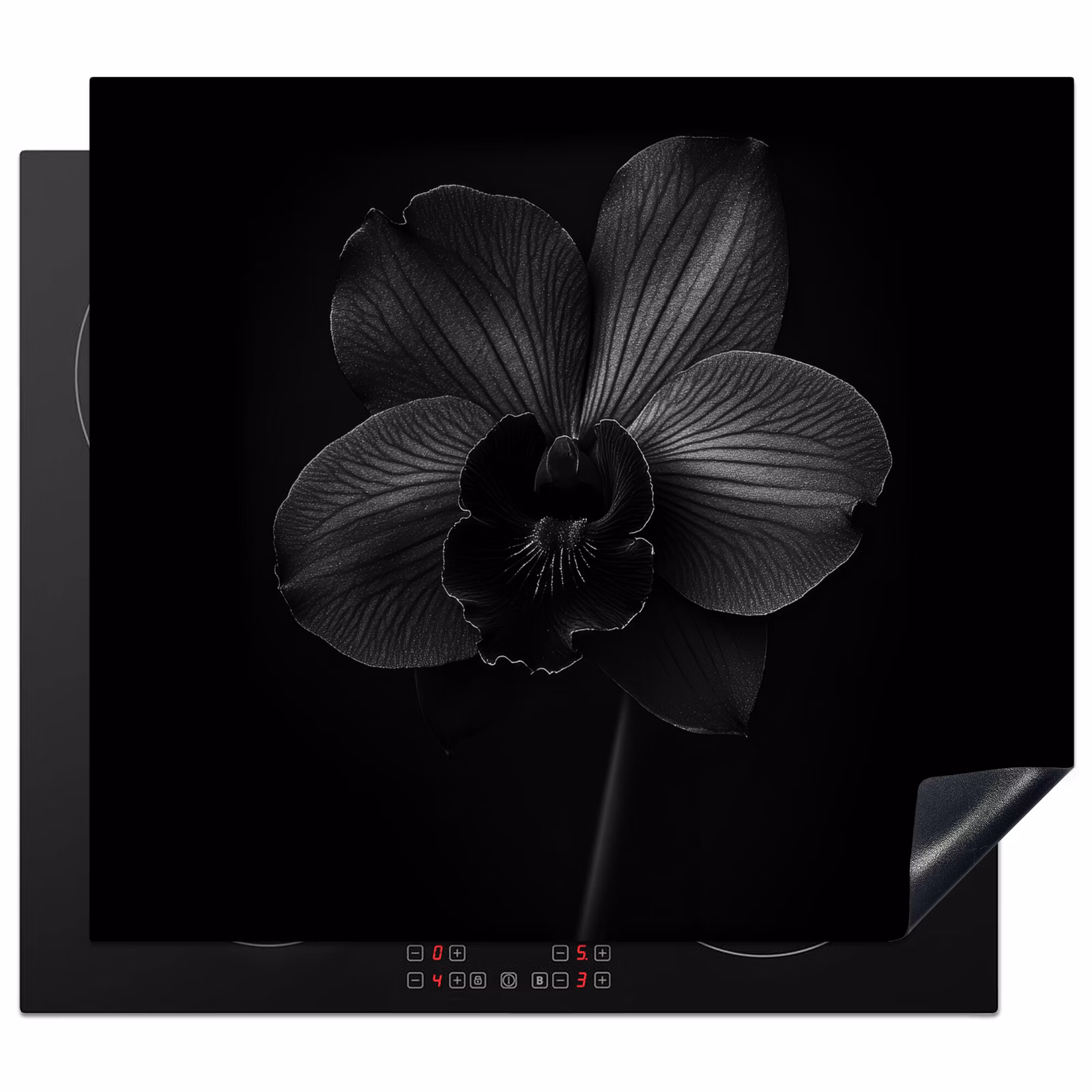 Protezione piano induzione - Nero - Fiore - Orchidea — 1