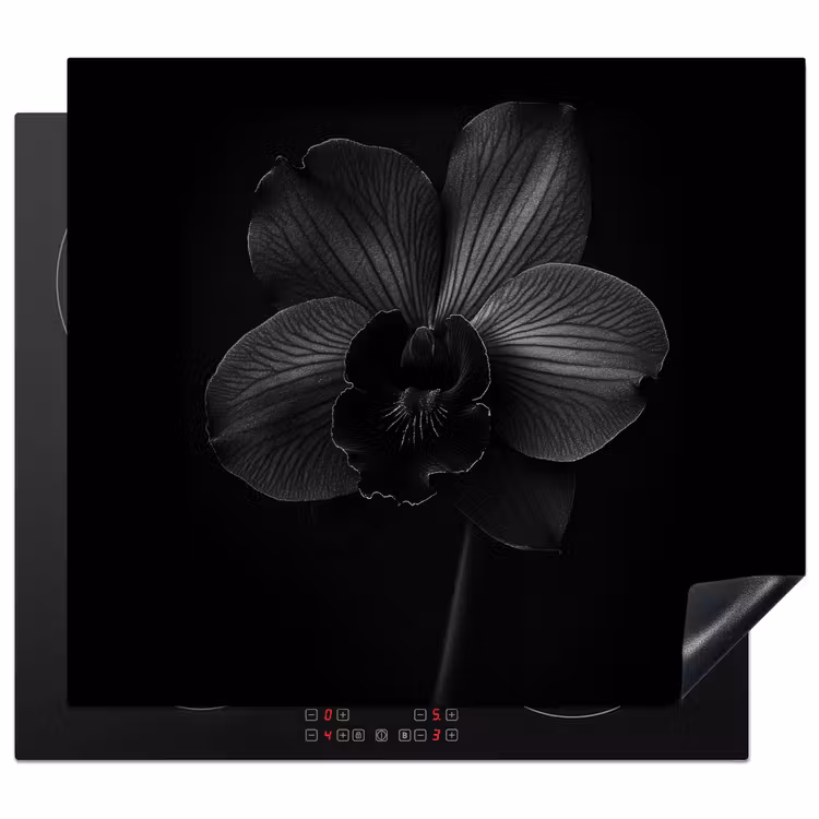 Protezione piano induzione - Nero - Fiore - Orchidea — 1