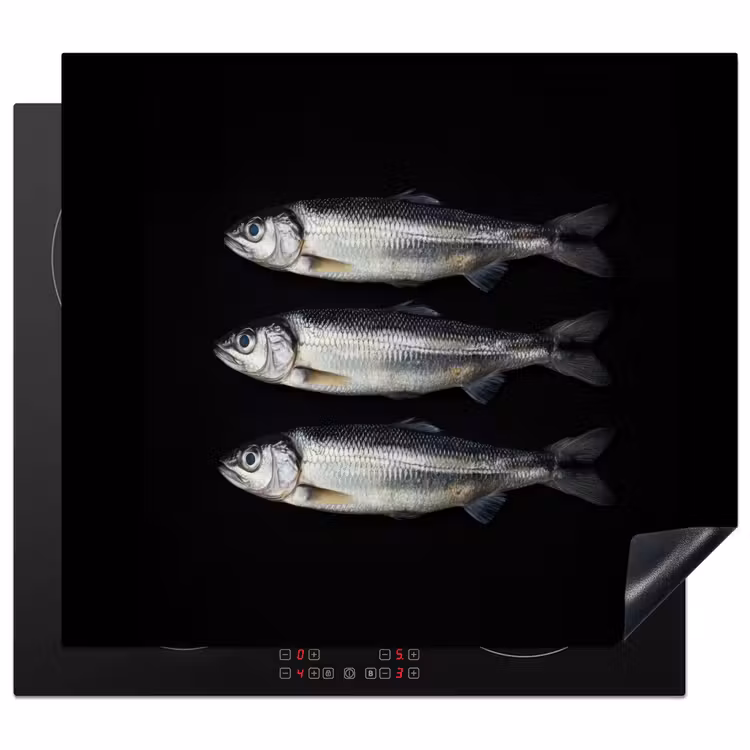 Protezione piano induzione - Aringa - Pesce - Nero — 1