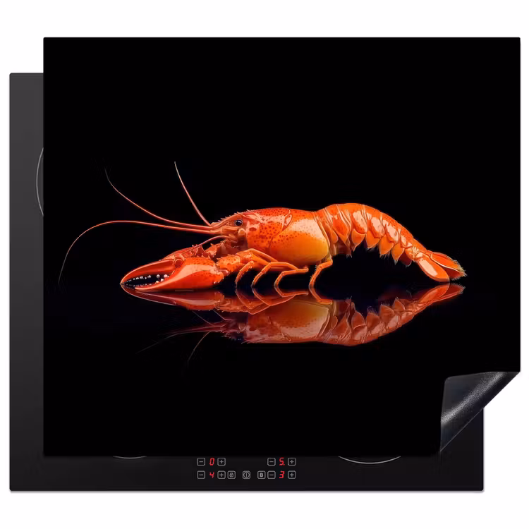 Protezione piano induzione - Cancro - Arancione - Nero - Impressionante — 1