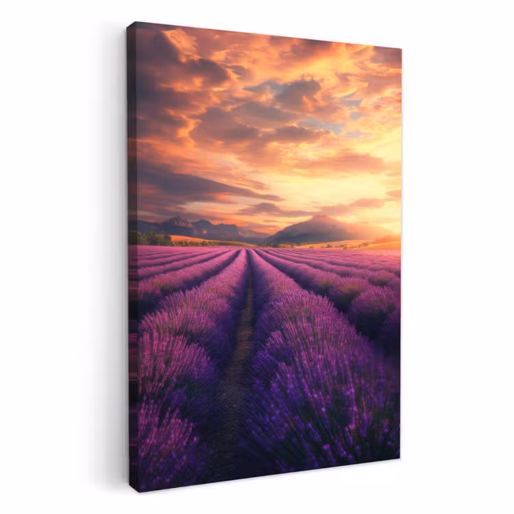 Dipinti su tela - Campo di lavanda - Tramonto - Viola — 1