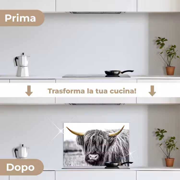 Paraschizzi cucina - Sguardo dell'Highlander — 7