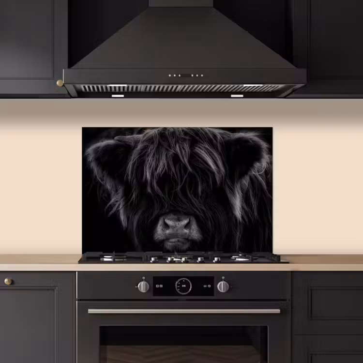 Paraschizzi cucina - Sguardo nascosto — 5
