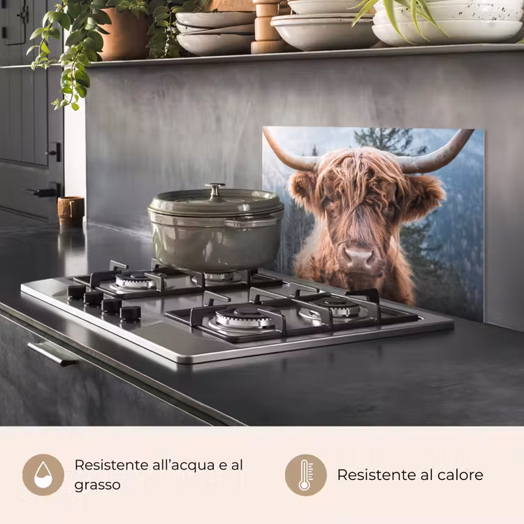 Paraschizzi cucina - Guardiano delle Highlands — 2