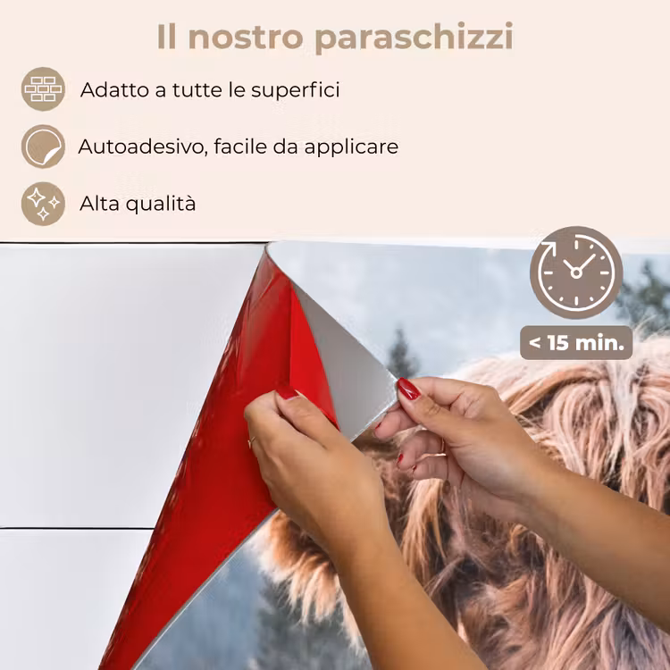 Paraschizzi cucina - Guardiano delle Highlands — 4