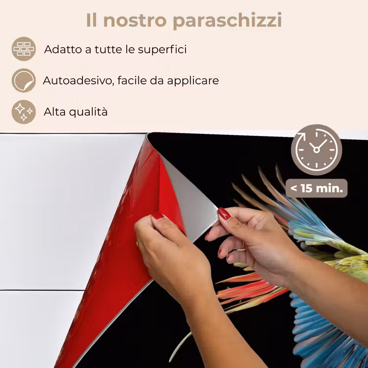 Paraschizzi cucina - Pappagallo - Colorato - Ali - Ornato — 4