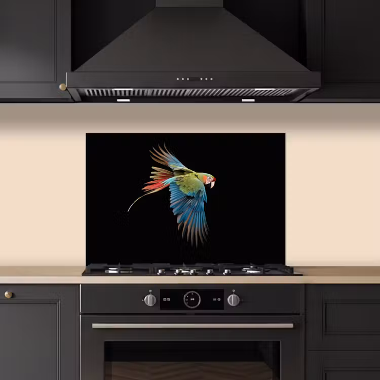 Paraschizzi cucina - Pappagallo - Colorato - Ali - Ornato — 5