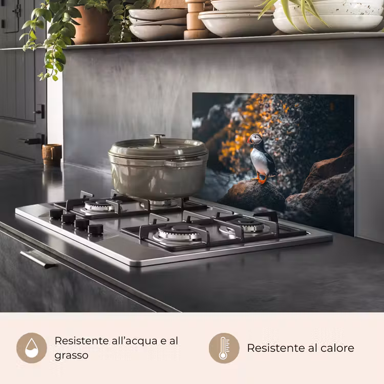 Paraschizzi cucina - Pappagallo - Uccello - Roccia - Bianco — 2