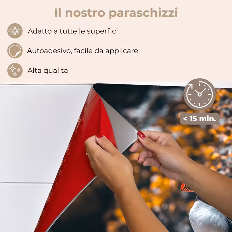 Paraschizzi cucina - Pappagallo - Uccello - Roccia - Bianco — 4