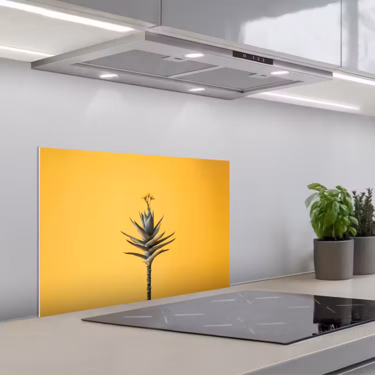 Paraschizzi cucina - Pianta - Minimalista - Fiore - Giallo — 1
