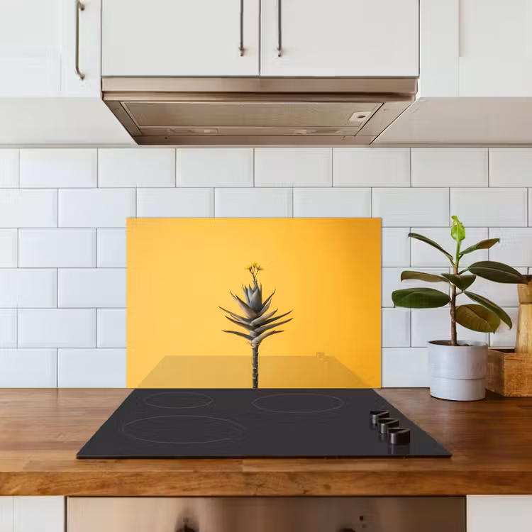 Paraschizzi cucina - Pianta - Minimalista - Fiore - Giallo — 3