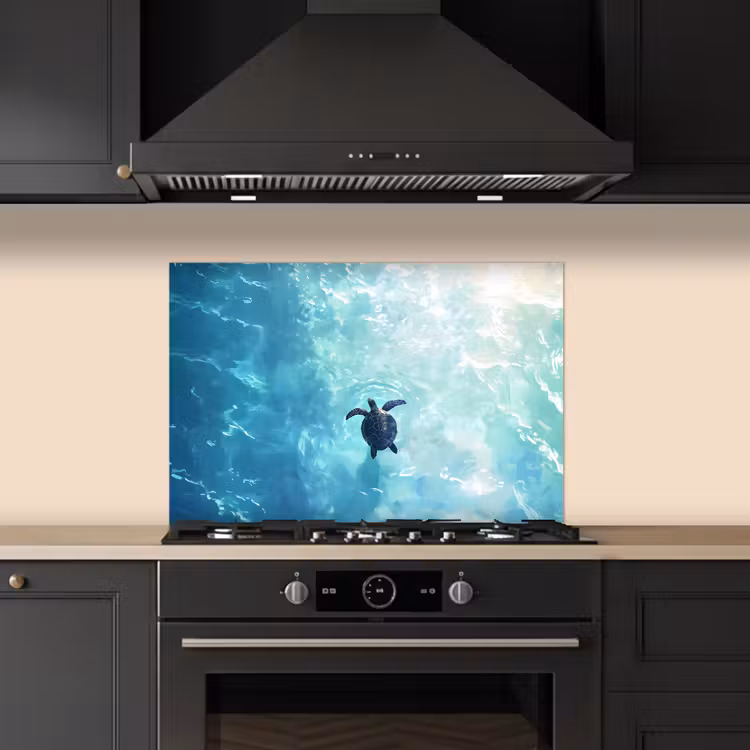 Paraschizzi cucina - Tartaruga - Mare - Blu - Scintillio — 5