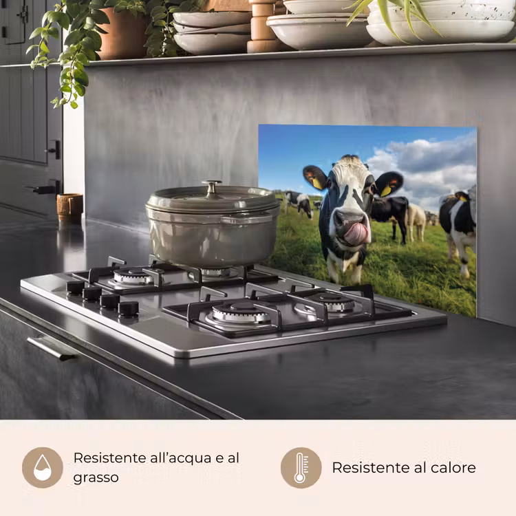 Paraschizzi cucina - Mucca - Lingua - Prato — 2