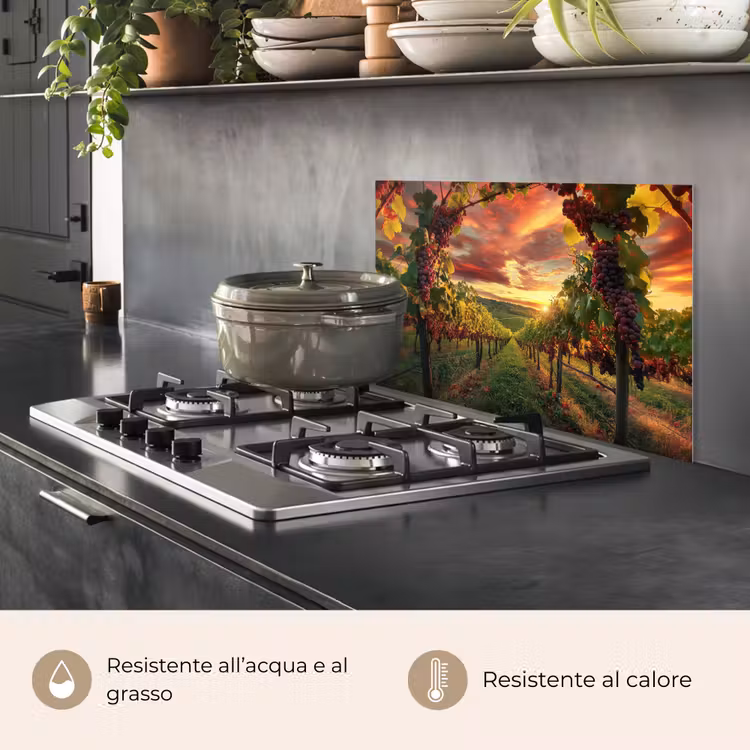 Paraschizzi cucina - Vigneto - Uva - Tramonto — 2