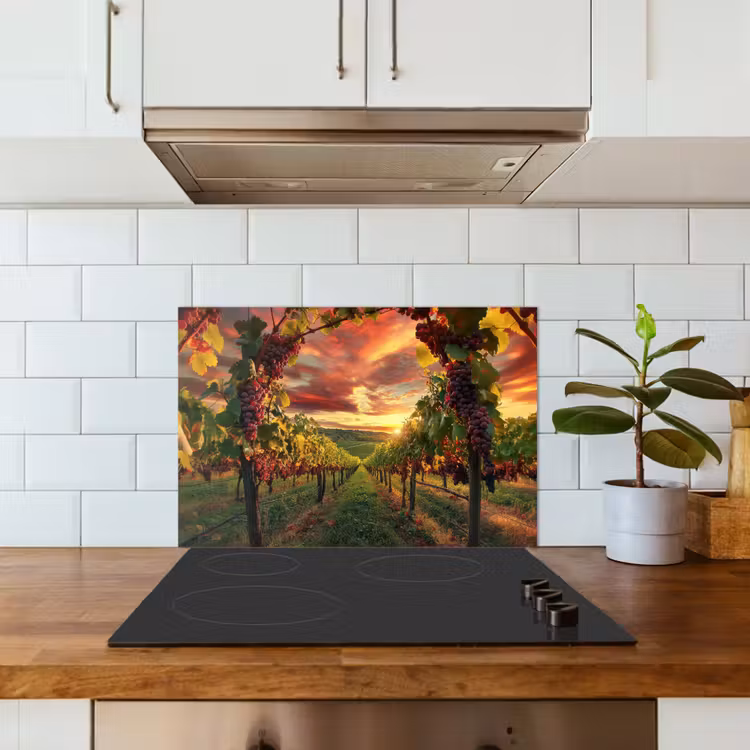 Paraschizzi cucina - Vigneto - Uva - Tramonto — 3