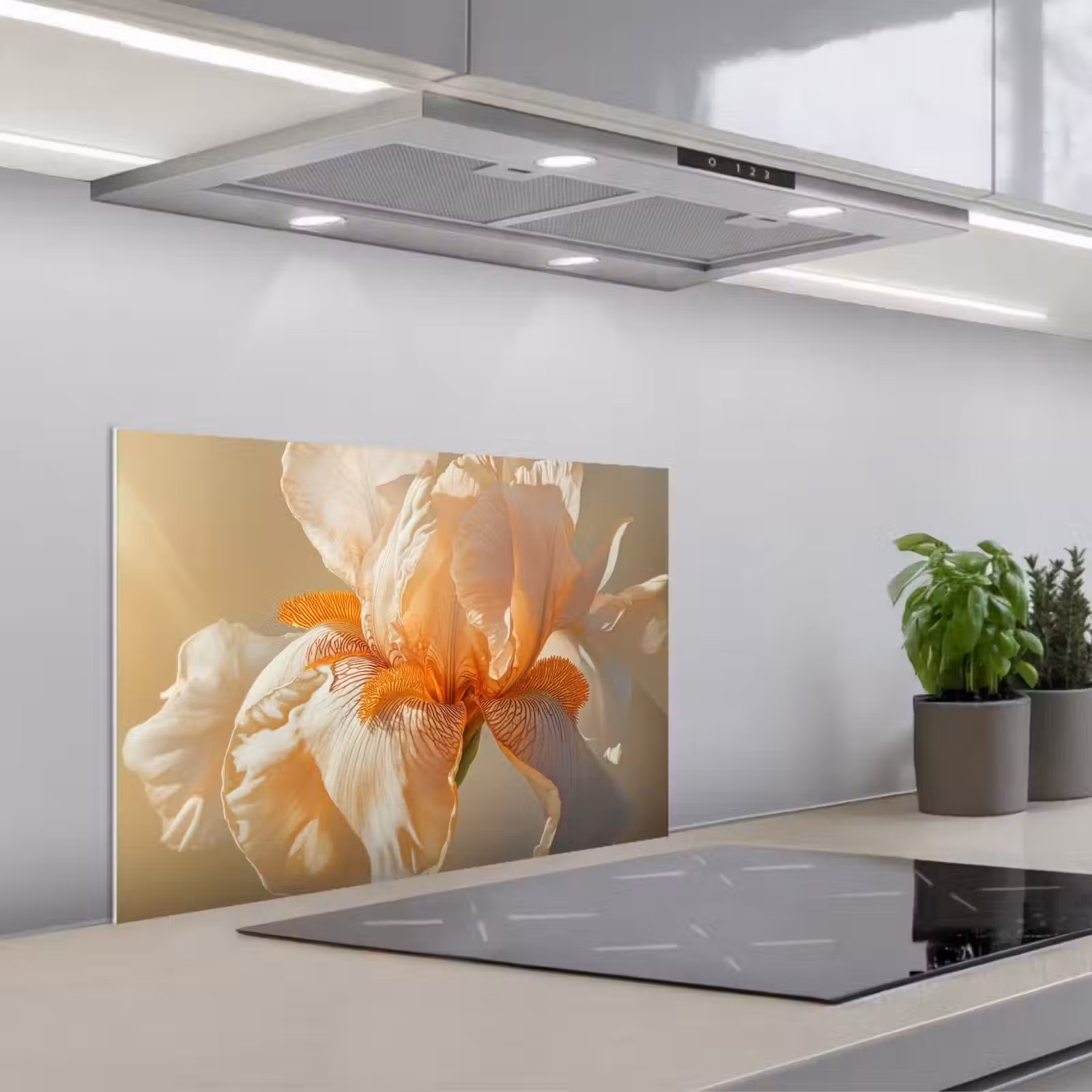 Paraschizzi cucina - Primo piano - Arancione - Iris — 1
