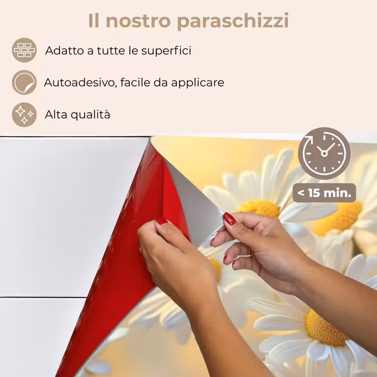 Paraschizzi cucina - Margherite - Bianco - Luce solare — 4