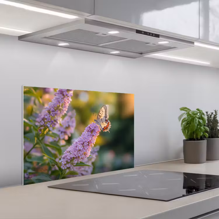 Paraschizzi cucina - Ornato - Farfalla - Viola - Fiori — 1