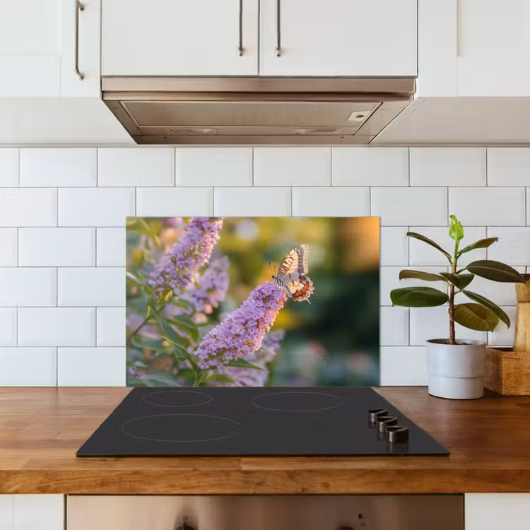Paraschizzi cucina - Ornato - Farfalla - Viola - Fiori — 3