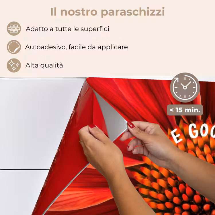 Paraschizzi cucina - Primo piano - Fiore - Citazione - Rosso — 4
