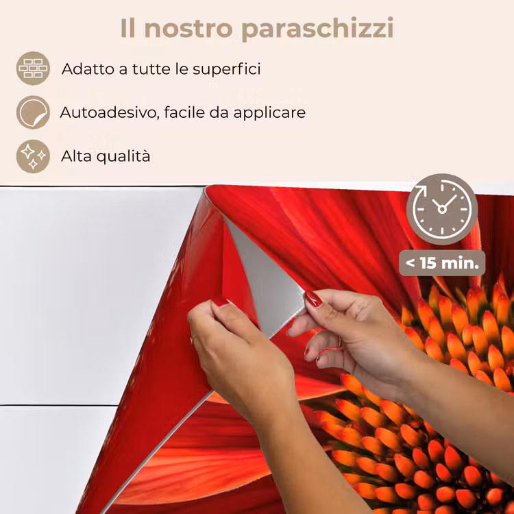 Paraschizzi cucina - Primo piano - Fiore rosso — 4