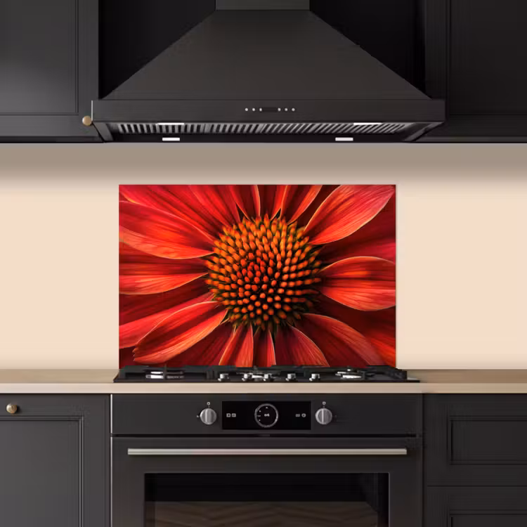Paraschizzi cucina - Primo piano - Fiore rosso — 5