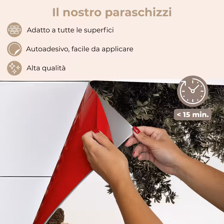 Paraschizzi cucina - Rocce - Mare - Albero - Verde — 4