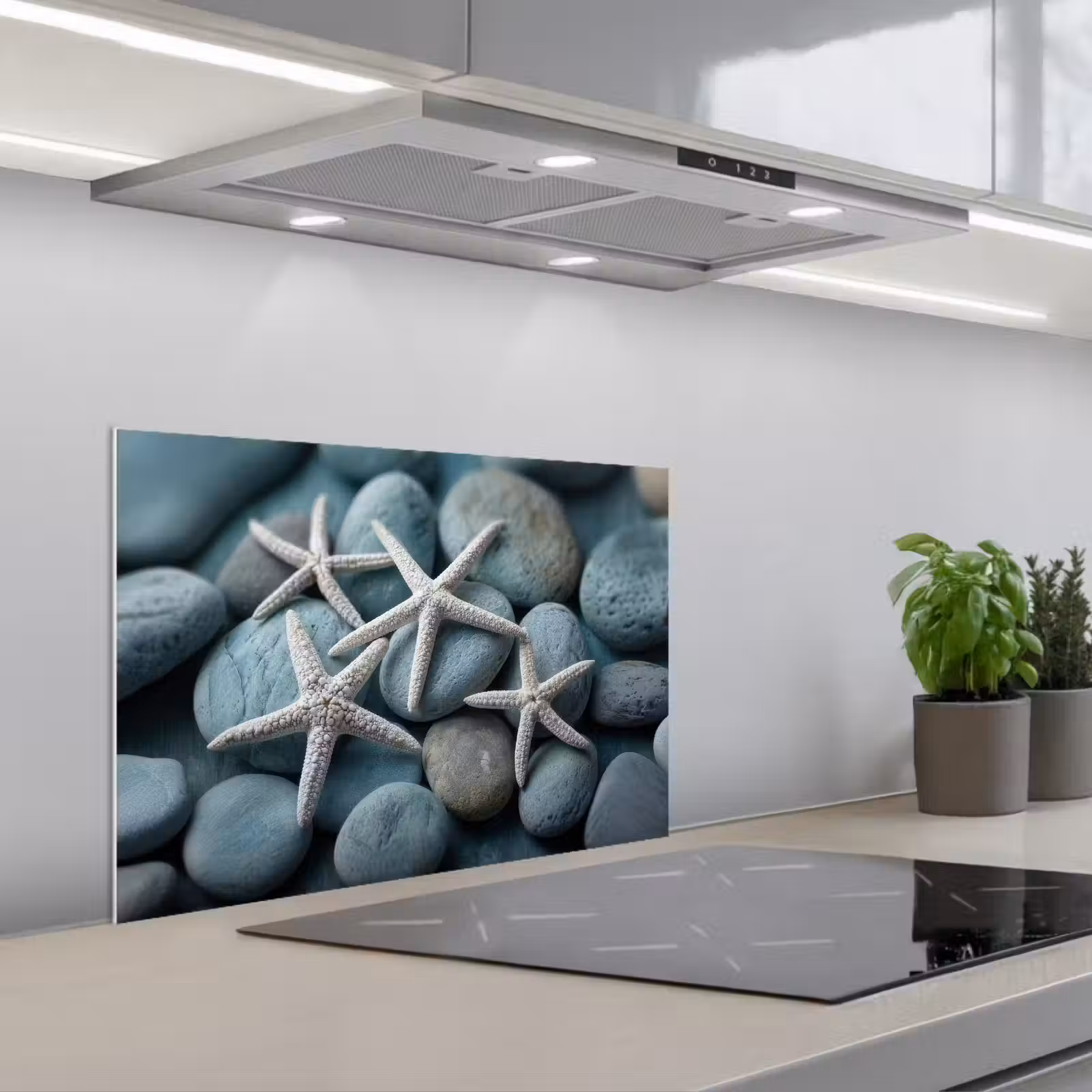 Paraschizzi cucina - Stella marina - Pietre - Bianco — 1
