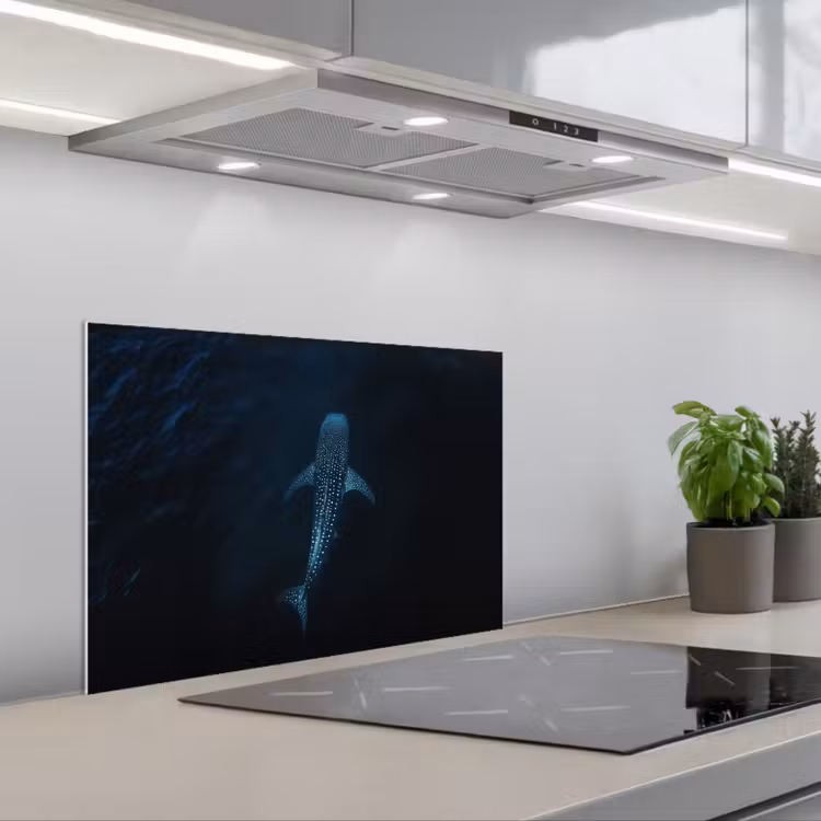 Paraschizzi cucina - Oceano - Squalo balena - Blu scuro - Macchie — 1