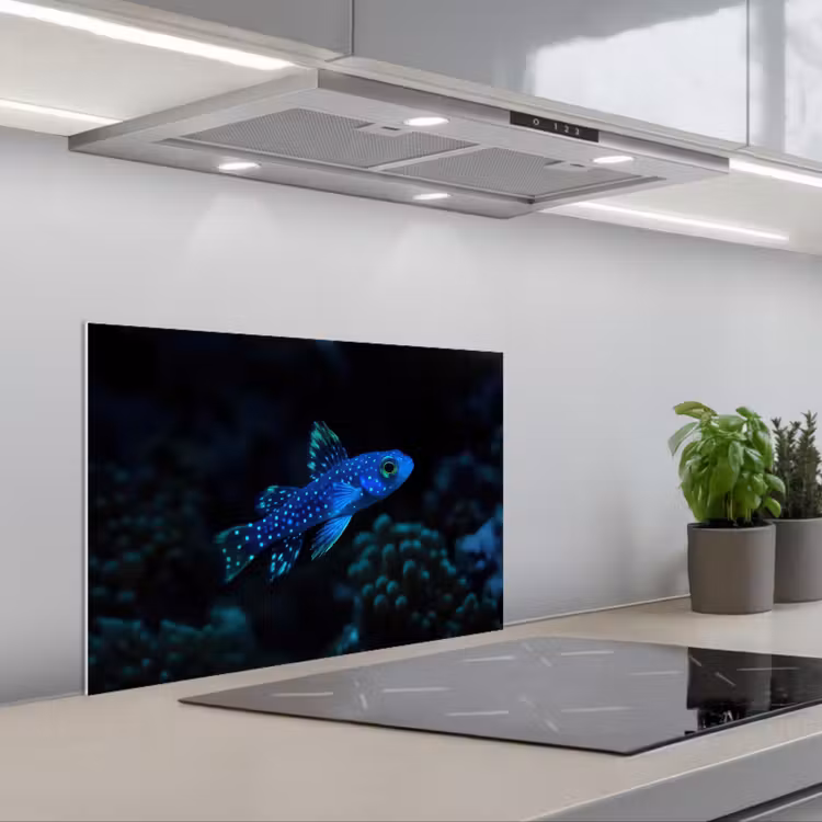 Paraschizzi cucina - Pesce - Puntini - Corallo - Blu — 1