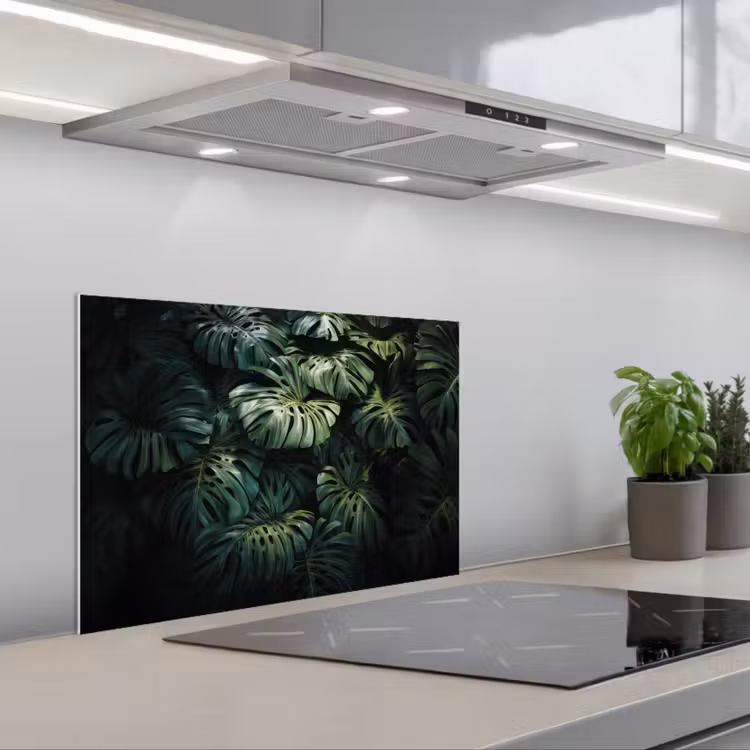 Paraschizzi cucina - Pianta - Monstera - Luce — 1