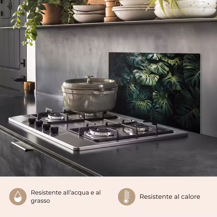 Paraschizzi cucina - Pianta - Monstera - Luce — 2
