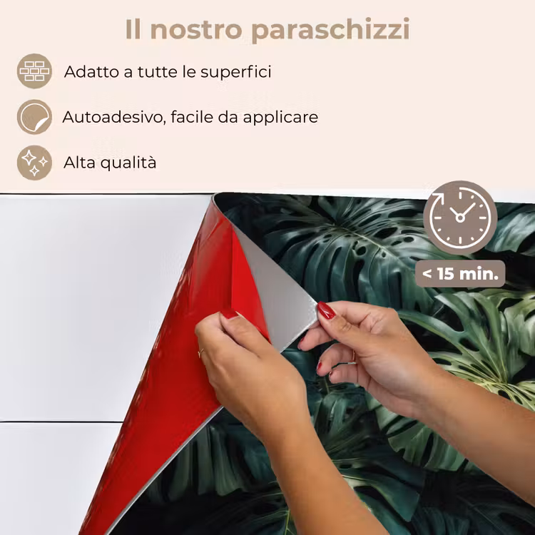 Paraschizzi cucina - Pianta - Monstera - Luce — 4