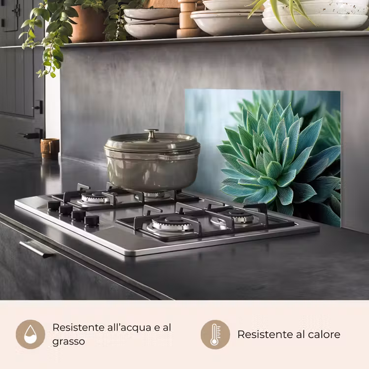 Paraschizzi cucina - Succulente - Foglie - Verde - Sfumato — 2
