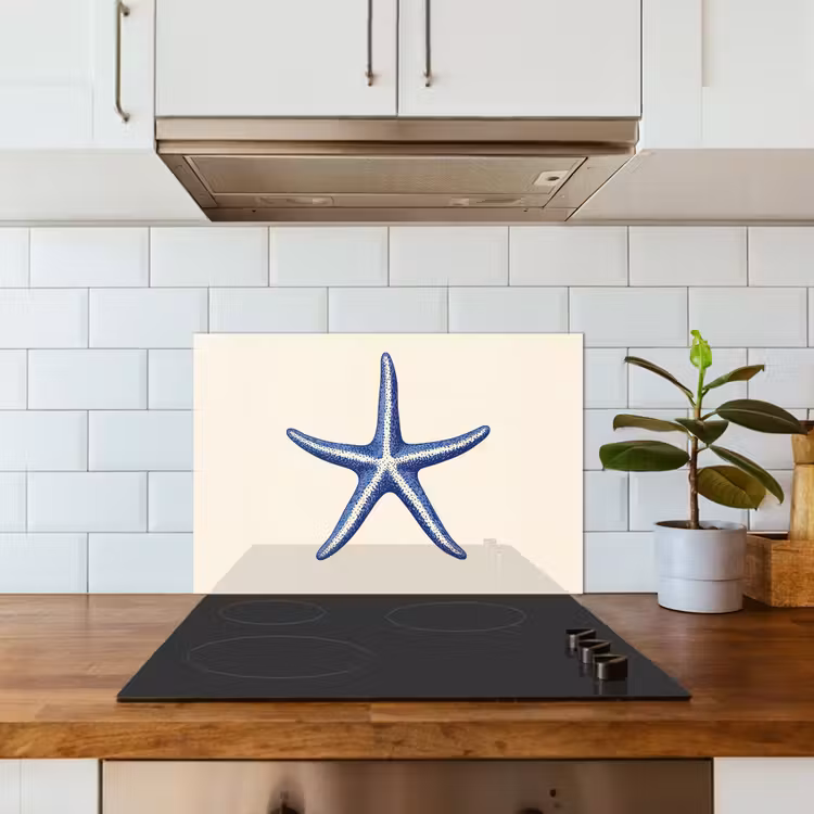 Paraschizzi cucina - Stella marina blu - Minimalista - Beige — 3