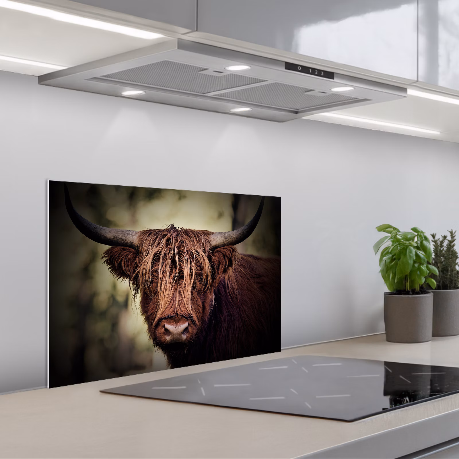 Paraschizzi cucina - Highlander scozzese - Luce - Ritratto - Natura — 1