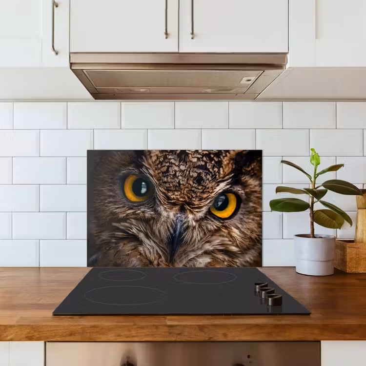 Paraschizzi cucina - Gufo - Animale - Arancione — 3