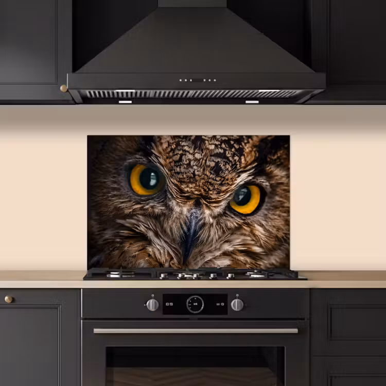 Paraschizzi cucina - Gufo - Animale - Arancione — 5